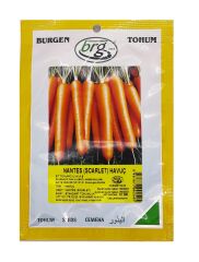 Havuç Tohumu 10 GR BT