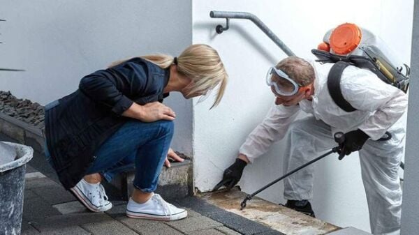 İlaçlama Gözlüğü-Odun Kesim Gözlüğü