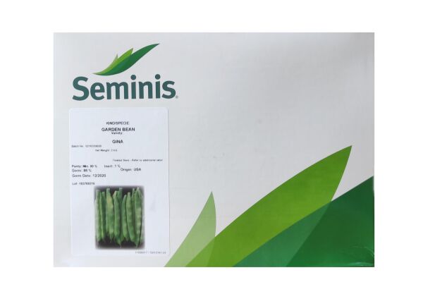 Seminis Gina Fasulye Tohumu 1 kg