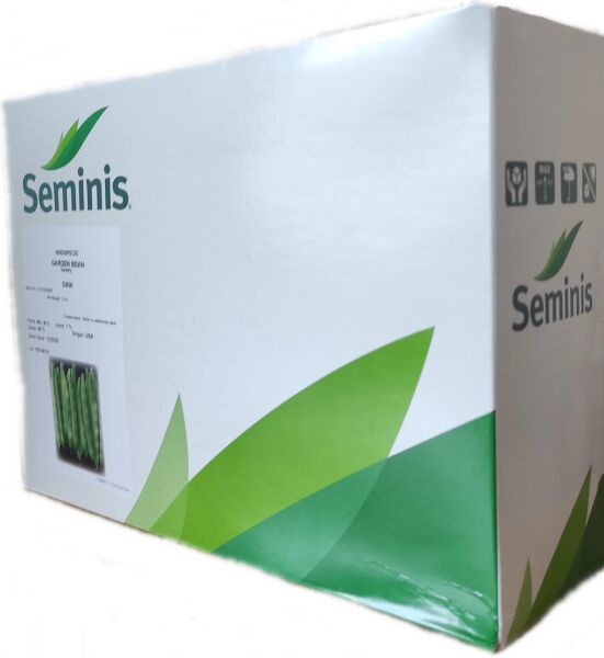Seminis Gina Fasulye Tohumu 1 kg