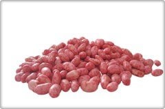 Bourgondia Fasulye Tohumu (1 Kg-2 Kg) 2 Kilogram (500 m² ) Orijinal Ambalaj