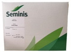 Bourgondia Fasulye Tohumu (1 Kg-2 Kg) 2 Kilogram (500 m² ) Orijinal Ambalaj