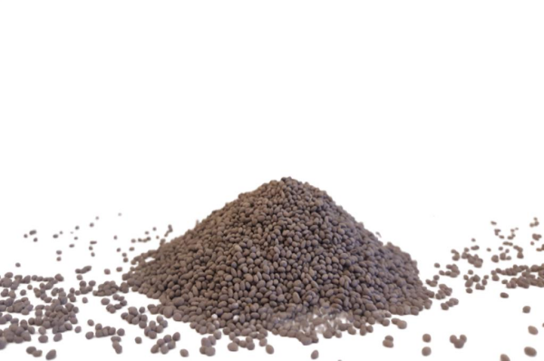 OSM Kaplamalı Kayseri Yonca Tohumu (10 Kg)