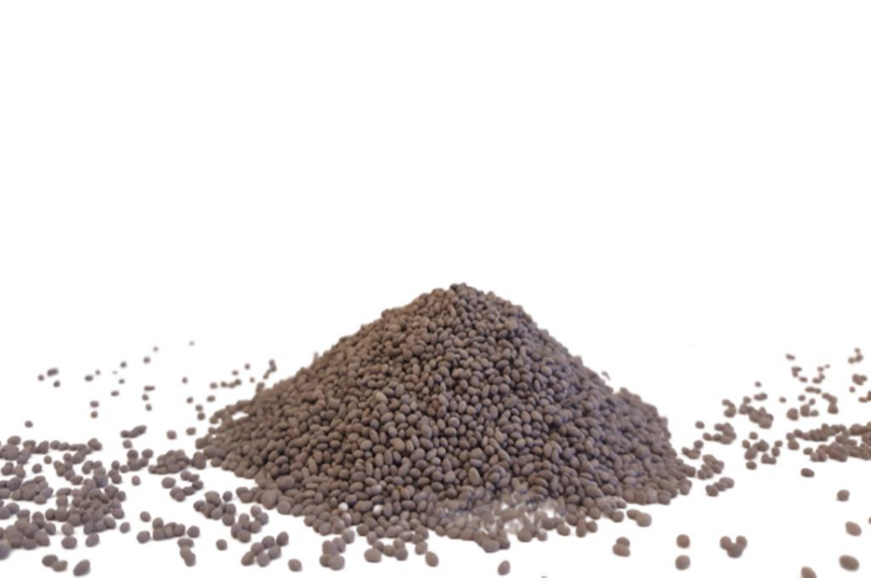 OSM Kaplamalı Kayseri Yonca Tohumu (10 Kg)
