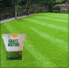 GrassMixture 6 Farklı Çim Tohumu Karışımı (2 kg)