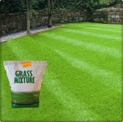 GrassMixture 6 Farklı Çim Tohumu Karışımı(3 kg)