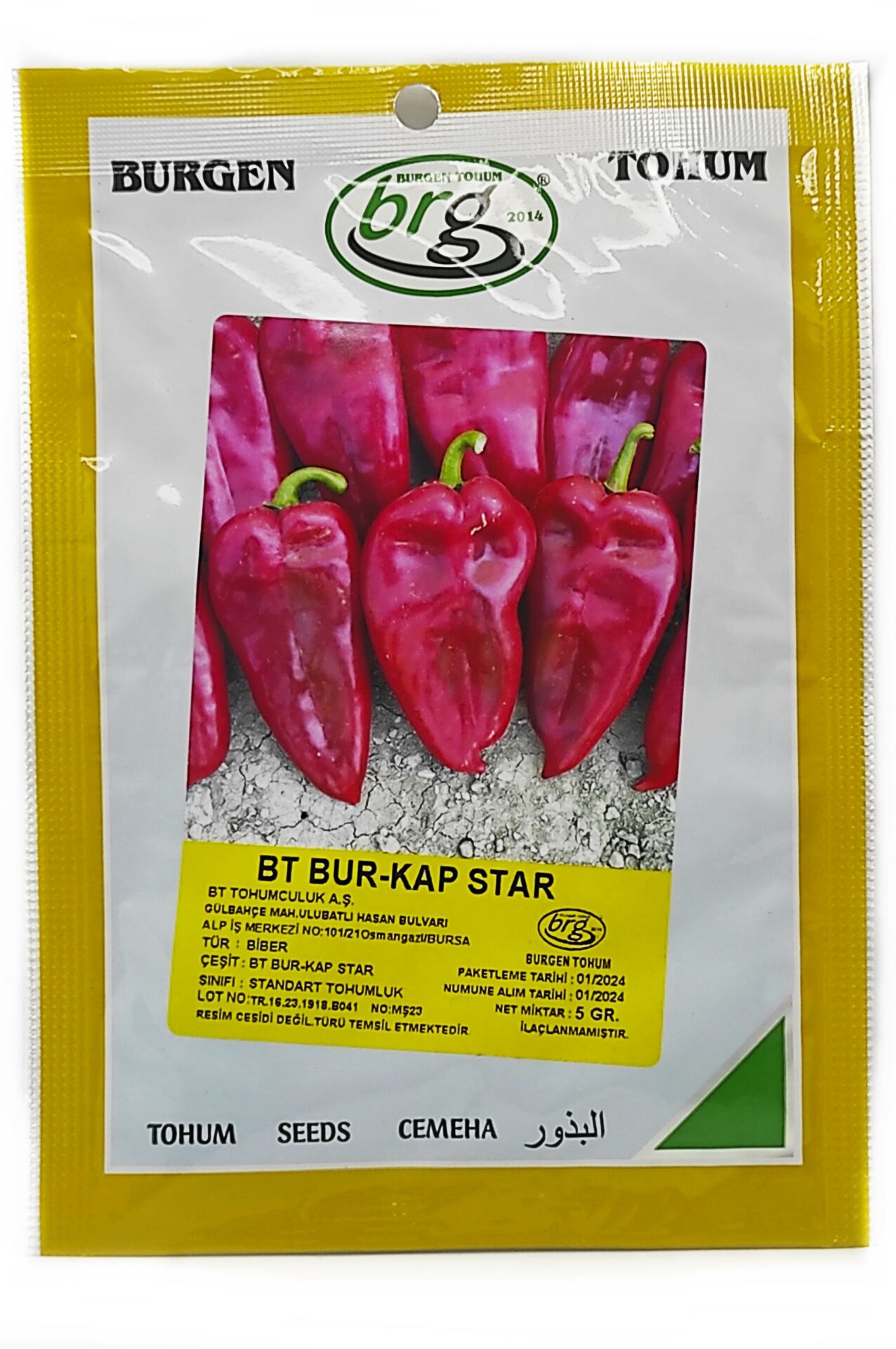 BT Bur-Kap Star Kapya Biber Tohumu 5 gr