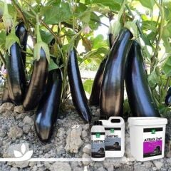 Genta | Atrax ZnP Orgamineral Gübre 20 lt