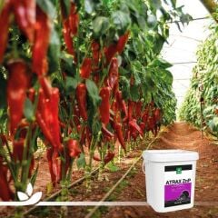 Genta | Atrax ZnP Orgamineral Gübre 20 lt