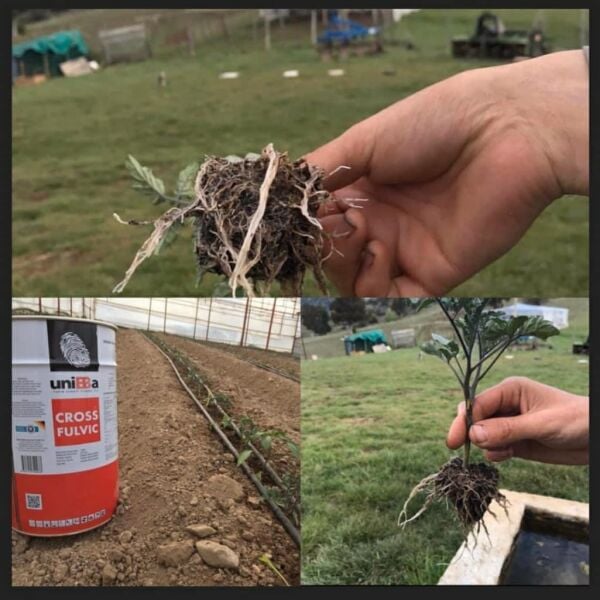 uniBa Cross Full (10 KG)