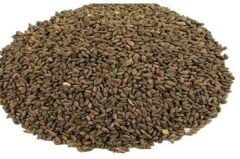 Arı Otu Tohumu Faselya (500 gram)