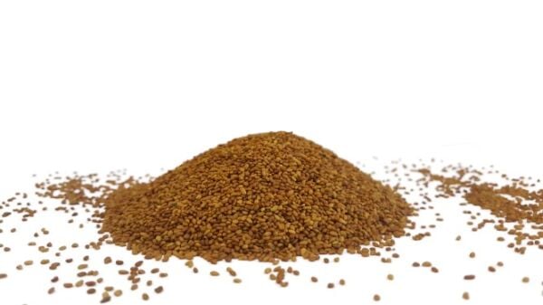 İthal Sertifikalı Yonca Tohumu Giulia (10 Kg)