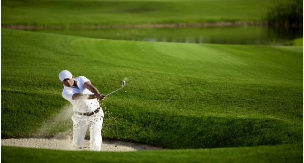 6S DYNASTİE ÇİM TOHUMU 10 KG