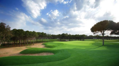 4S SMYRNA ÇİM TOHUMU 10 KG