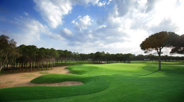 4S SMYRNA ÇİM TOHUMU 10 KG