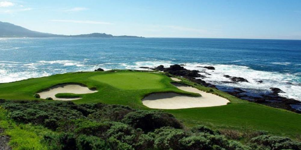 4S SMYRNA ÇİM TOHUMU 10 KG