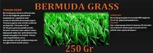 Bermuda Çimi (Ayrık Otu)Tohumu 250 gr