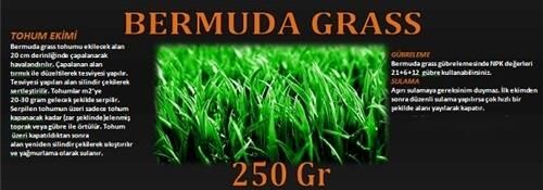 Bermuda Çimi (Ayrık Otu)Tohumu 250 gr