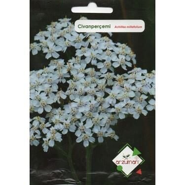 Civanperçemi Tohumu (100 adet)