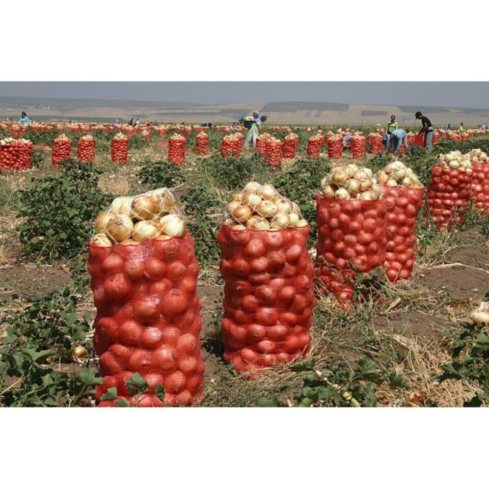 SOĞAN ÇUVALI (5 KİLOLUK) 50 ADET 30*50 cm