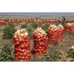 SOĞAN ÇUVALI (5 KİLOLUK) 100 ADET 30*50 cm