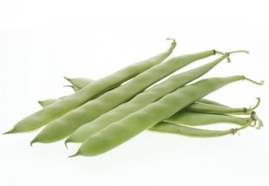 Seminis Ribera Oturak Fasulye Tohumu 1 kg