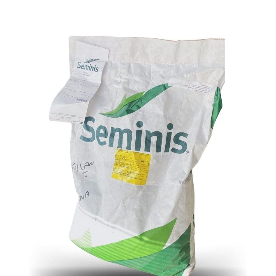 Seminis Ribera Oturak Fasulye Tohumu 1 kg