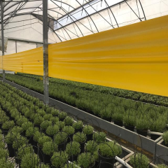 Roll Trap Sarı Rulo Yapışkanlı Si̇nek Tuzağı 15 cm x 50 m