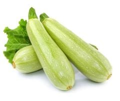 Otto F1 Kabak Tohumu Hibrit (1000 çekirdek)