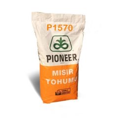 Pioneer P1570 Mısır Tohumu 50.000 çk (Standart)