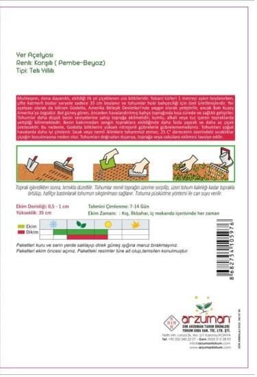 Arzuman Yer Açelyası (100 Adet)