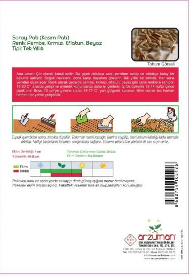 Arzuman Saraypatı-Kasımpatı Çiçeği Tohumu (50 adet)