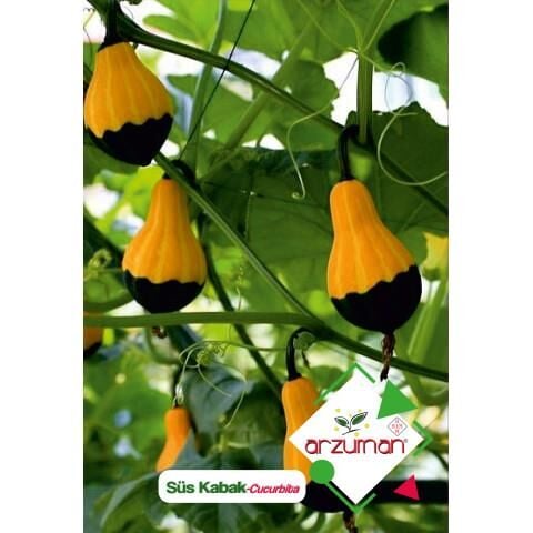 Arzuman Süs Kabağı Tohumu (10 Adet)