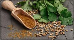 Kişniş Tohumu (Aş Otu) 25 Gram (Çiftçi Yetiştirmesi)