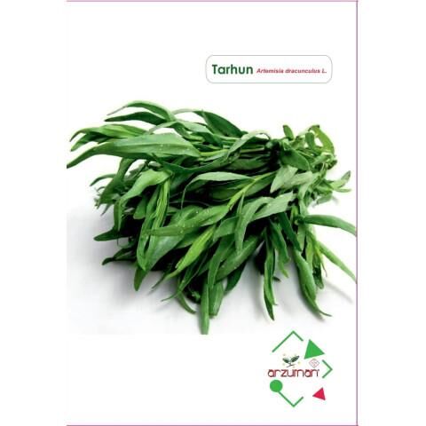Arzuman Tarhun Tohumu (50 Adet)