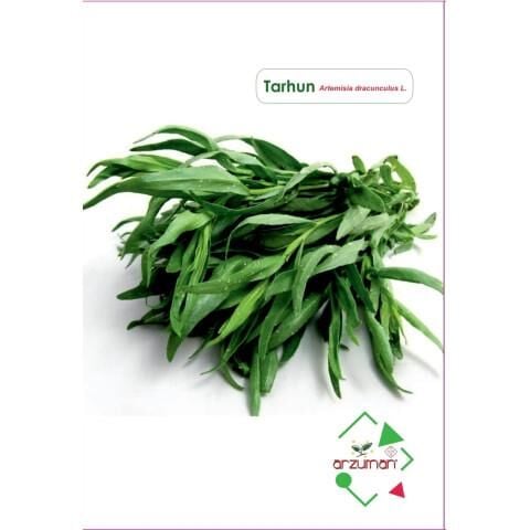 Arzuman Tarhun Tohumu (50 Adet)
