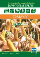 MAY 72MAY80 Danelik+Sılajlık Mısır Tohumu (50.000 Çk)