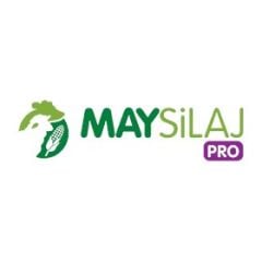 MAY 72MAY80 Danelik+Sılajlık Mısır Tohumu (50.000 Çk)