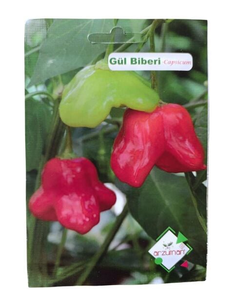 Arzuman Gül Biber Tohumu 20 adet