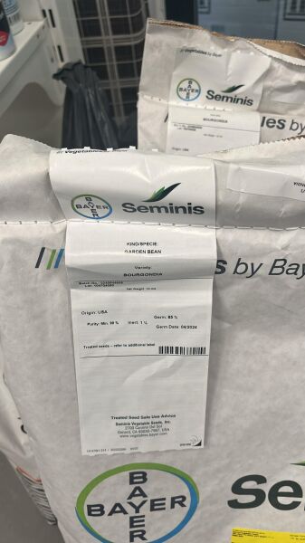 Bourgondia Fasulye Tohumu (10 Kg) Seminis