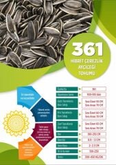 Hibrit Çerezlik S--400 / 361 Çeşidi Ayçiçeği Tohumu