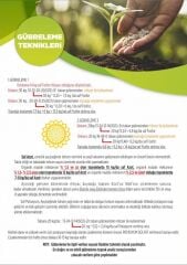 Hibrit Çerezlik S--400 / 361 Çeşidi Ayçiçeği Tohumu