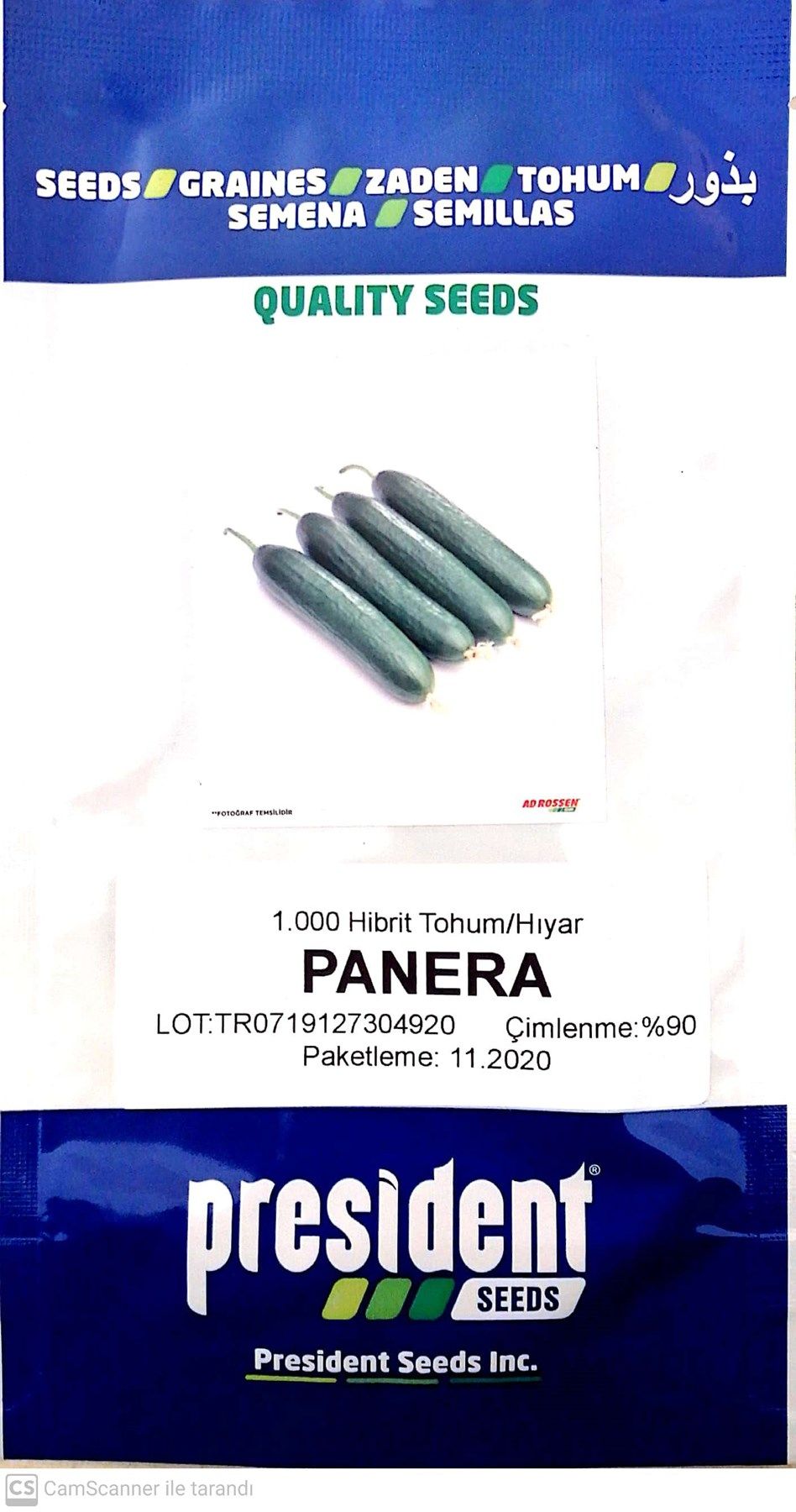 Panera F1 (Sırık Salatalık Tohumu) Hibrit Hıyar (1000 adet)