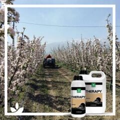 Genta Therapy Azotlu Gübre Çözeltisi 5 litre