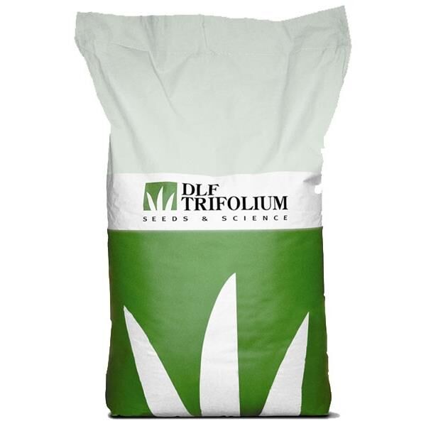 Üçgül Süs Yoncası Tohumu (1 kg) Kaplamasız ( Trifolium Repens )