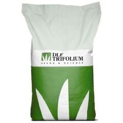 Üçgül Süs Yoncası Tohumu (1 kg) Kaplamasız ( Trifolium Repens )