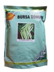Yerli Cino Fasulye Tezeren (40 günlük) Fasulye Tohumu 1 Kg