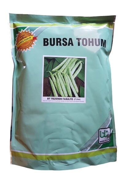 Yerli Cino Fasulye Tezeren (40 günlük) Fasulye Tohumu 1 Kg