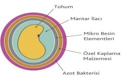 OSM Bilensoy Kaplı Yonca Tohumu (1 Kg)