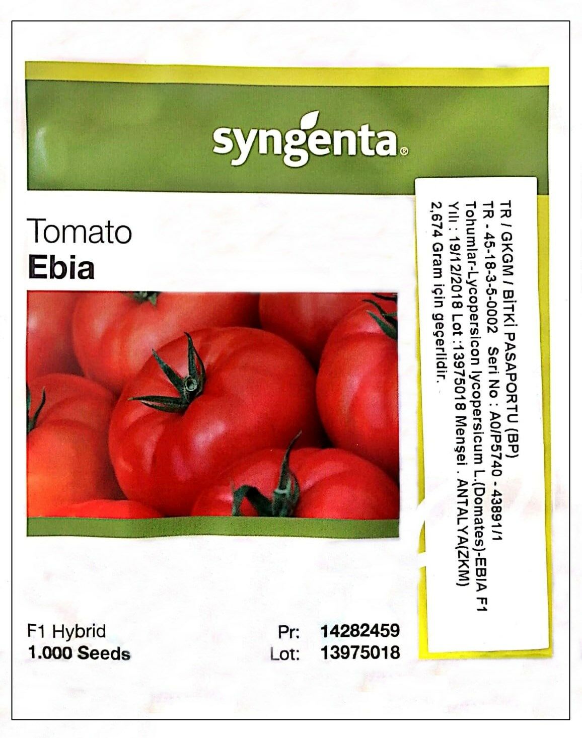 Ebia F1 Oturak Hibrit İri Domates Tohumu (1000 Adet) Syngenta